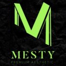 메스티 이미지
