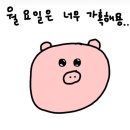 행복한 요즘,