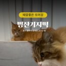 범잔기지떡