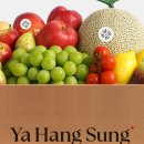 과일달고