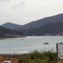 진전면897 이미지