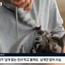 천사로목장 이미지