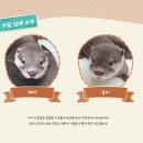 동물들의세상 이미지