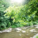 공주계곡캠핑 이미지