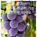 지극정성 Daum카페