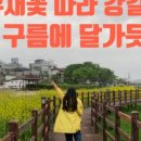 러셀커피영천자천점