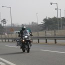 영산강사슴·곰농장 이미지