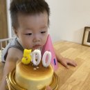 D+500일~506일 16개월 육아일기 500일 축하해, 어린이집 방학주간, 하남 라포레카페, 아쿠아필드 워터...