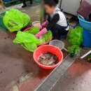 마산합포구 ⓔ-28 | 바다 보러 떠난 마산 1박2일 뚜벅이 여행 후기 1편 (1박2일 국내여행지 추천, 마산 여행코스)
