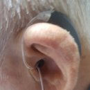 이종달이비인후과의원 이미지