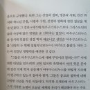 가톨릭 성녀 모니카 성녀의 아들은 누구일까요? 아우구스티누스에 대한 그들의 말