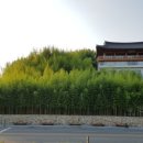 우진세무사공인중개사사무소 이미지