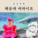 해피타임 | 부산 아쿠아리움 할인 받고 해피타임 이용한 후기 ft. 보트 공연 정보