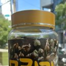 그린헬스팜 이미지