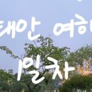 퍼피스테이 이미지