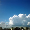 맑은하늘 이미지