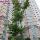 남구-145 이미지