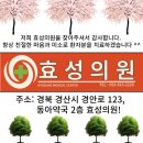 효성의원 이미지