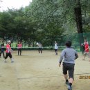 무릉유원지 이미지