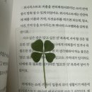 클로버 노래연습장 이미지