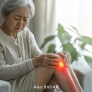 노인운동지도사 이미지