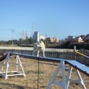 진도개녹진 영농조합법인 이미지