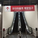물총새공원로 티스토리