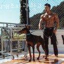 육체개조사관학교 이미지