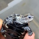 (주)바이브앤 이미지