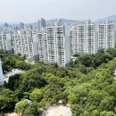 샛별 이미지