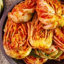 김치랑 이미지