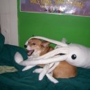 오징어pc방 이미지