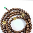 골드스타 이미지