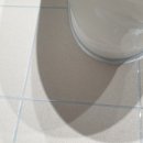 진솔클린 이미지