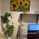 부산광역시 동구 광장 5길 | 부산역 마사지 추천! 광장아로마 커플 발마사지 한국인 전문 관리샵 후기 (60분 전신 아로마)