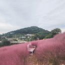 안면도솔바다 네이버블로그