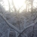 형식농장 이미지