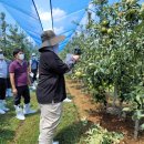 햇빛농장 이미지