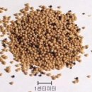 씨.씨.알(주) 이미지