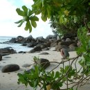 바닷가 풍경 이미지