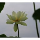 마라나타