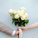 밀테플레르 이미지