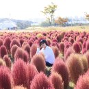시흥갯골에서 미생의 다리까지 ~~~ 10.7 이미지