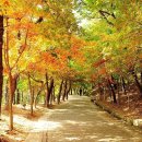 부소산성 삼충사 내 이미지