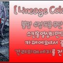 맨샵 이미지