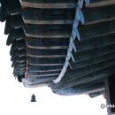 서산고향집 | 충남 서산 여행지 추천 간월도 간월암 바다 위 작은 섬에서 봄꽃을 만나다
