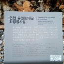 연천학곡리고인돌 이미지