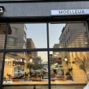 [김포 장기동 카페추천] 모엘루 MOELLEUX 후기_ 김포 카공하기 좋은 카페