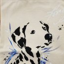 동탄센트럴파크 축구장 이미지