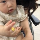 나귀야놀자 | 조카 돌반지 반돈시세 내돈내산